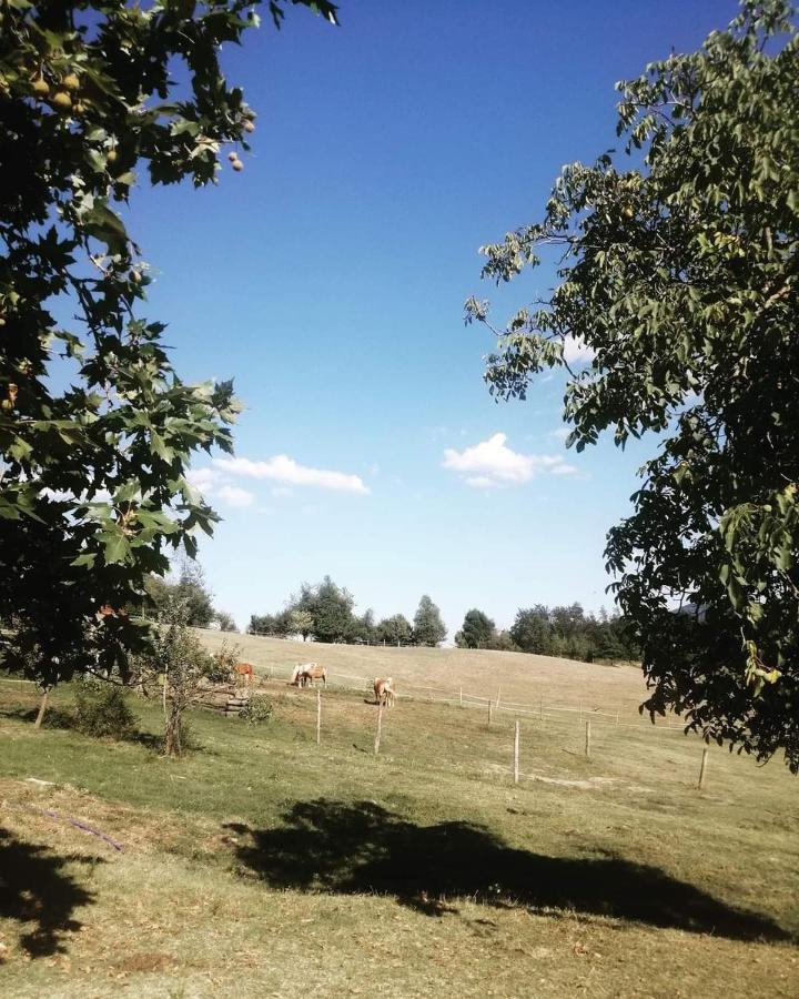 Monte Termine Country House Rioveggio Εξωτερικό φωτογραφία