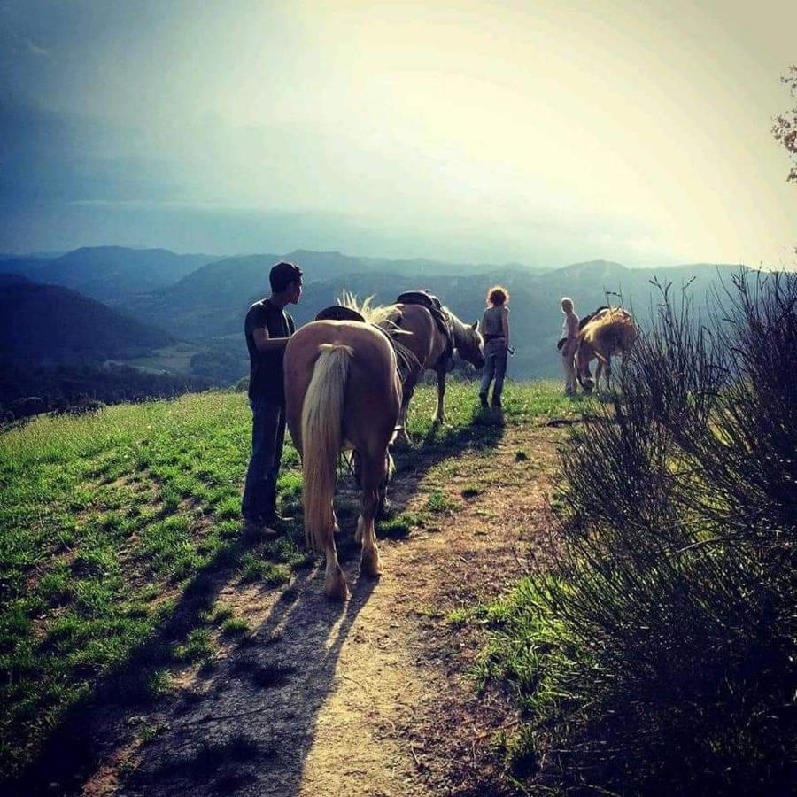 Monte Termine Country House Rioveggio Εξωτερικό φωτογραφία