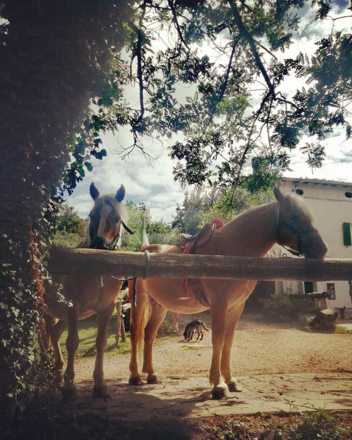 Monte Termine Country House Rioveggio Εξωτερικό φωτογραφία
