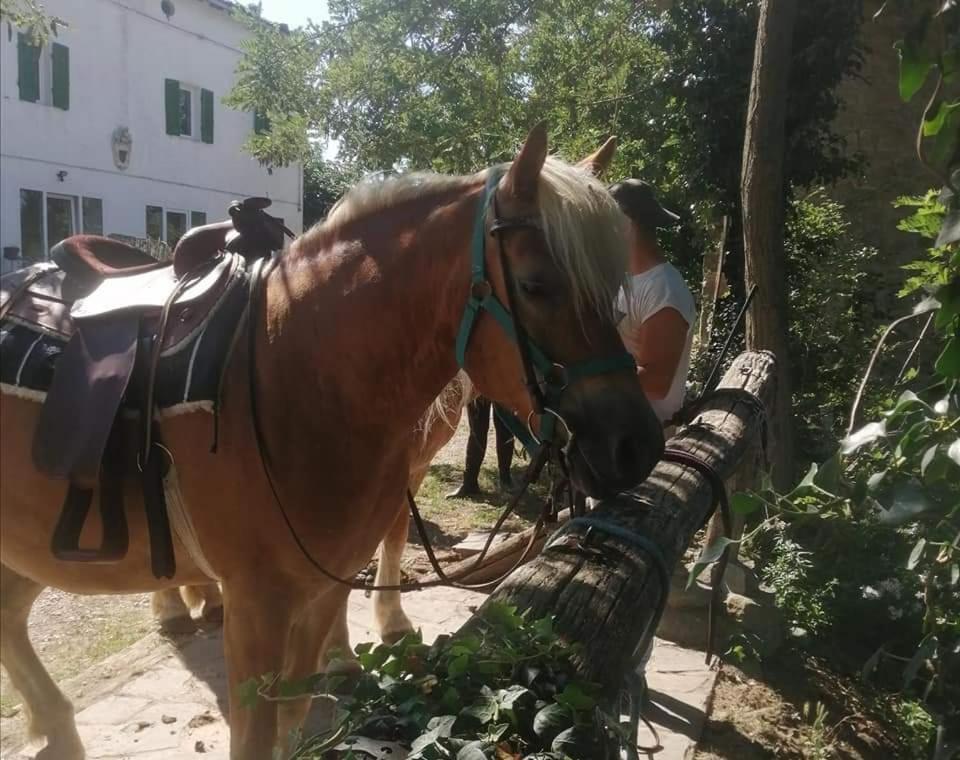 Monte Termine Country House Rioveggio Εξωτερικό φωτογραφία