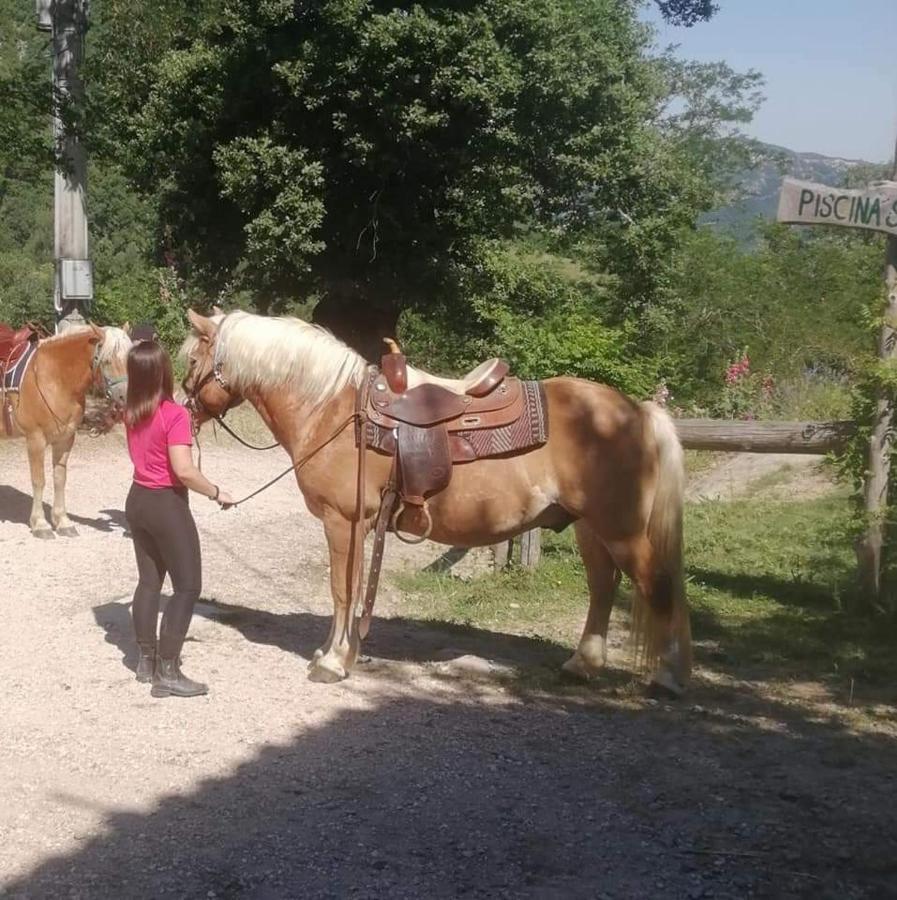 Monte Termine Country House Rioveggio Εξωτερικό φωτογραφία