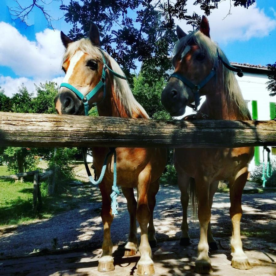 Monte Termine Country House Rioveggio Εξωτερικό φωτογραφία
