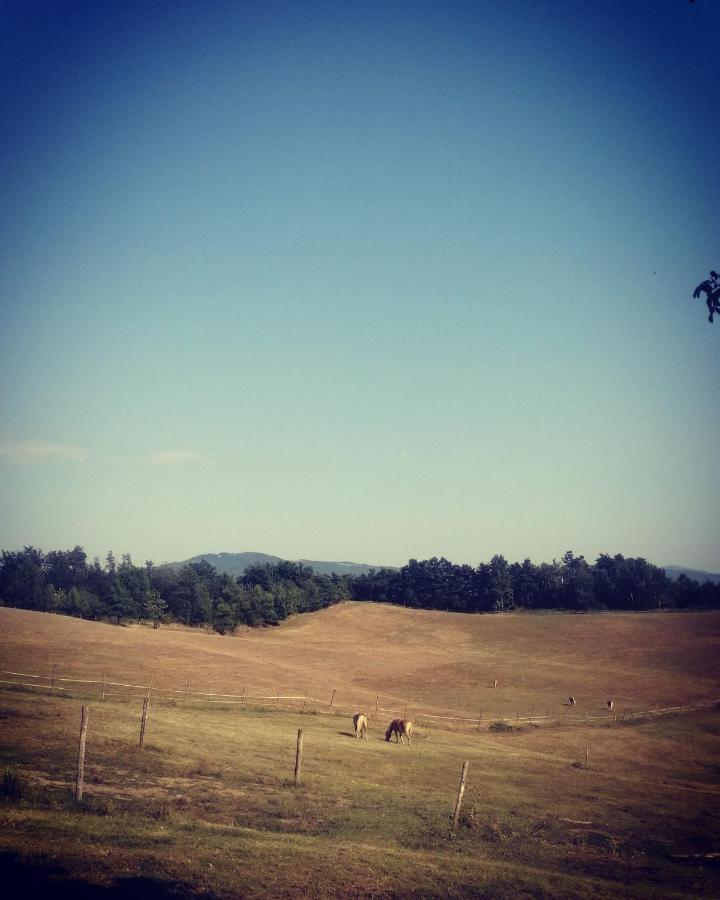 Monte Termine Country House Rioveggio Εξωτερικό φωτογραφία