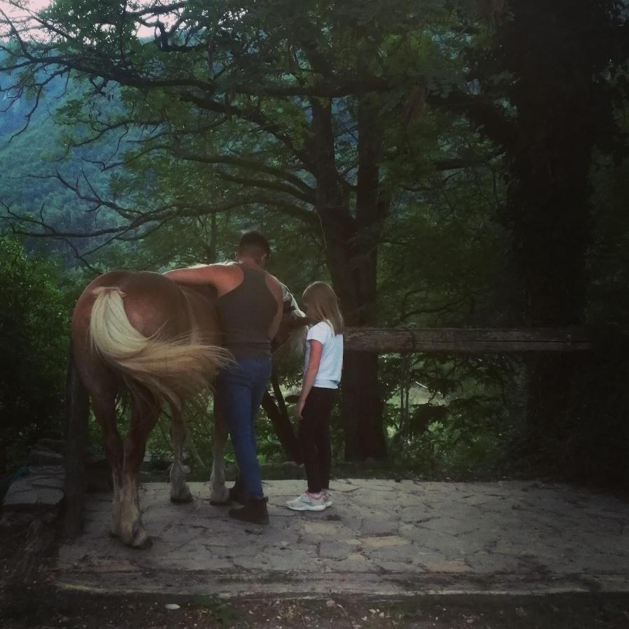 Monte Termine Country House Rioveggio Εξωτερικό φωτογραφία