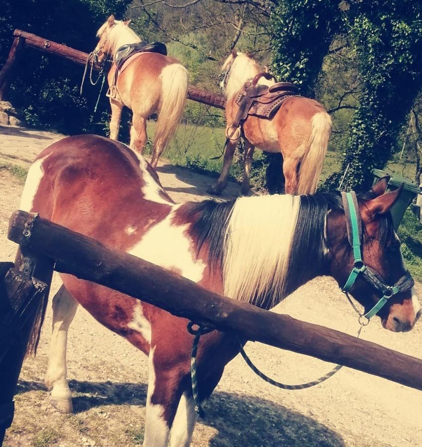 Monte Termine Country House Rioveggio Εξωτερικό φωτογραφία