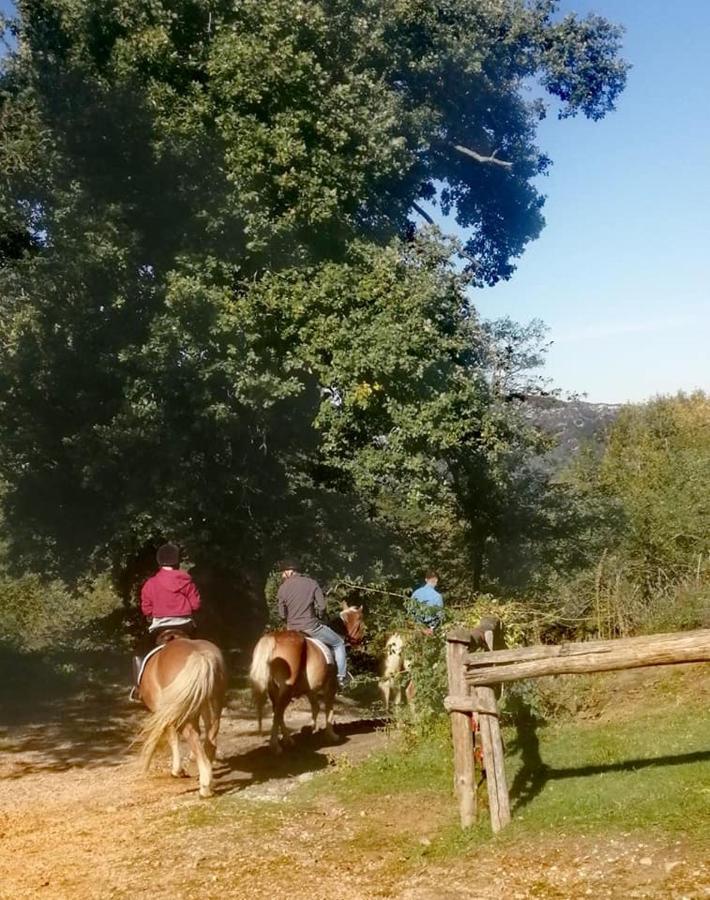 Monte Termine Country House Rioveggio Εξωτερικό φωτογραφία