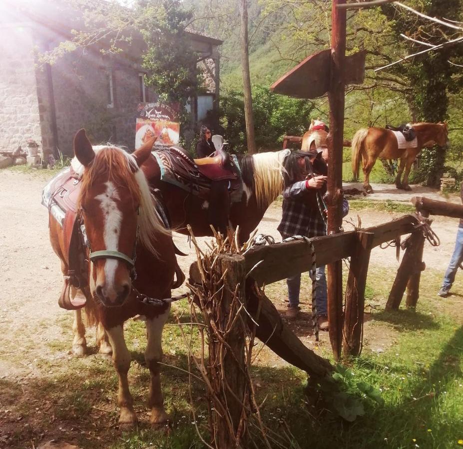 Monte Termine Country House Rioveggio Εξωτερικό φωτογραφία